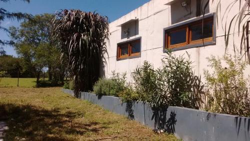Apartamentos Los Algarrobos