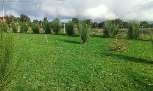 La Casita De Veronik