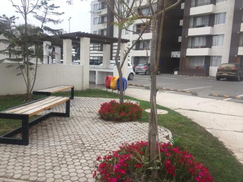 Apartamento Departamento A Cuadras De Av Del Mar