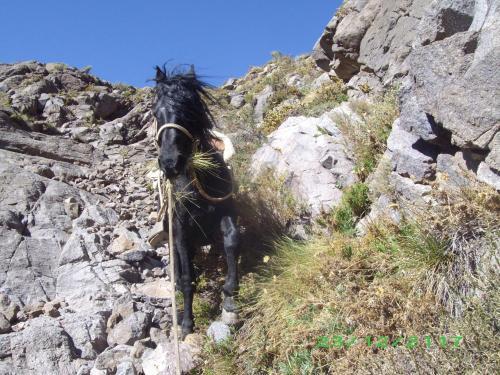 Hostal Refugio Cumbres