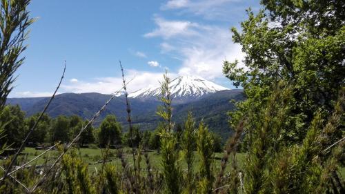 Malalmonta�a
