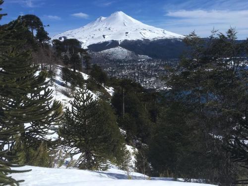 Refugio Natural Conguill�o