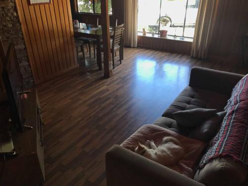 Habitaci�n En El Sur