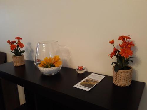 Apartamento Hermoso Departamento Con Jard�n Privado