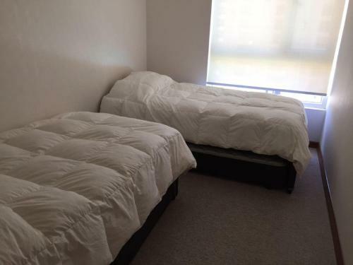 Apartamentos Departamento Diamante Papudo Laguna
