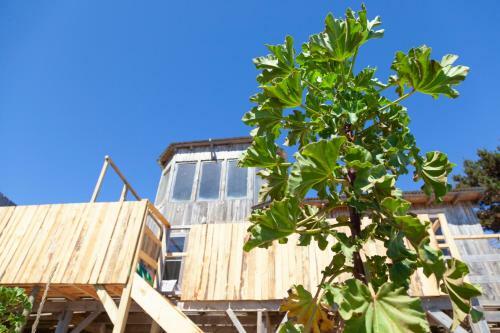 Lotus Surf House