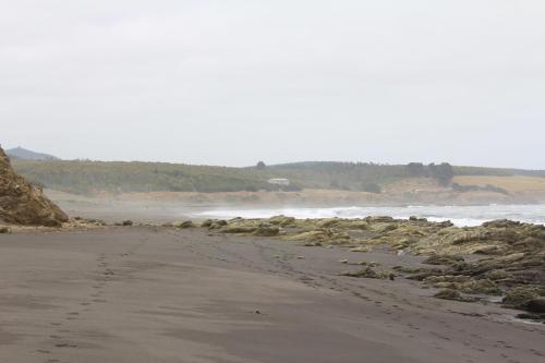 Playa Del Pangal