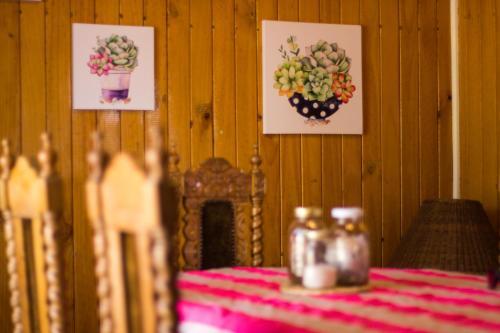 Ryf Hostel B&B