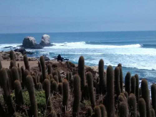 Caba�as Puerto De Lobos