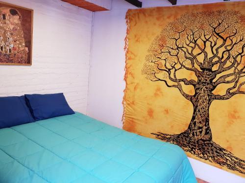 Hostal Nomad Paddle