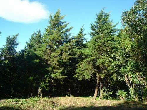 Casas Del Campo Los Arces