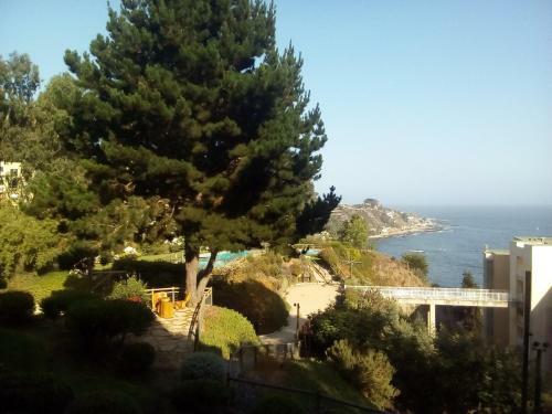 Apartamento Bah�a Pel�canos Vista Al Mar