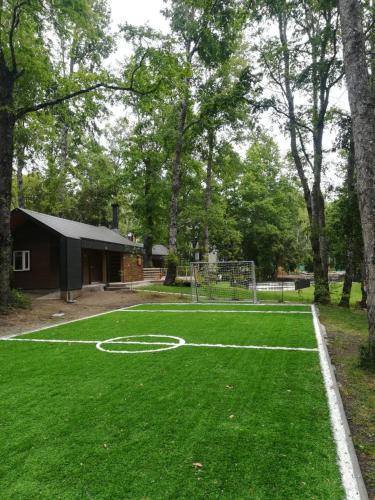 Apartamento Condominio Pucon Andino