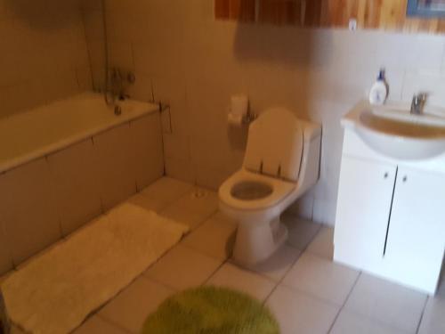 Casa -caba�a Pucon