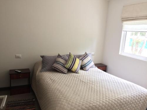 Apartamento Departamento Condominio Puc�n Andino