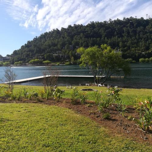 Apartamento Parque Pinares 501