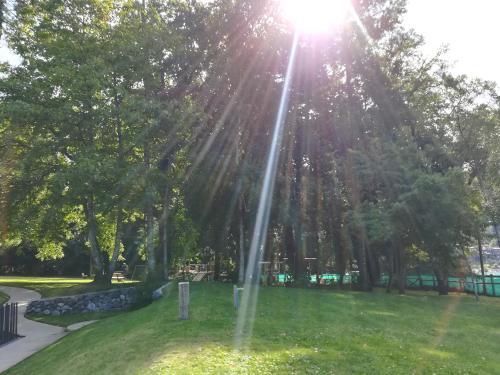 Apartamento Parque Pinares 501