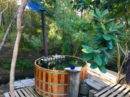 Lodge Caba�as Del Rio Turbio