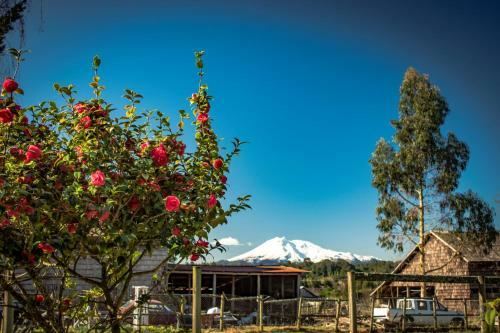 Hostal Chamiza