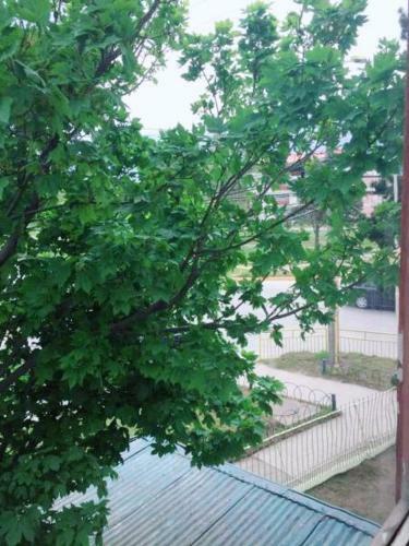 Albergue Hostal Gran V�a