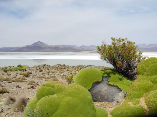 Hostal Vientos Del Altiplano