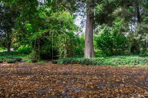Bed & Breakfast Cruz De Triana