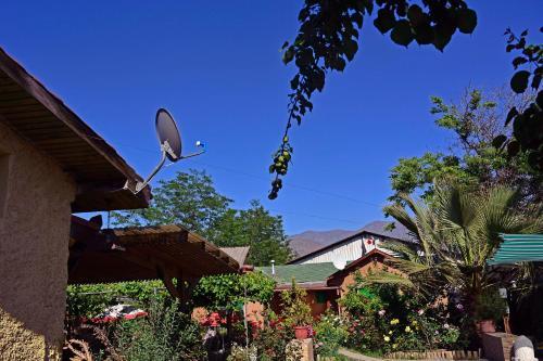 Casa Camelia