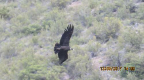 Lodge Emporio De La Meme