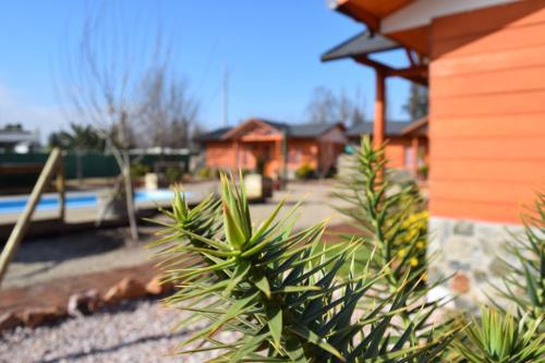 Refugio Nativo