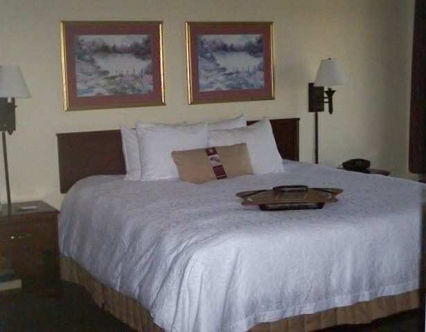 Hotel Hampton Inn Greenville Airport Sc