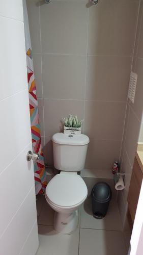 Apartamento Arriendo Diario Vi�a Del Mar (7 Mares)