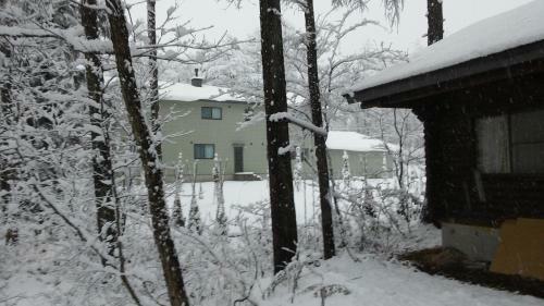Hakuba Haven Lodge