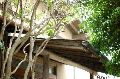 Hostal Guesthouse Miminichi