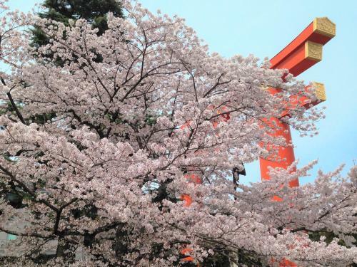 Hostal Oki's Inn