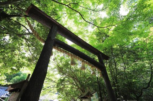 Guesthouse Sagaarashiyama