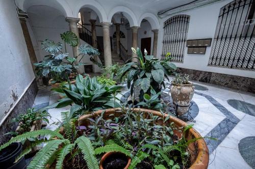 Apartamento �tico Del Vig�a