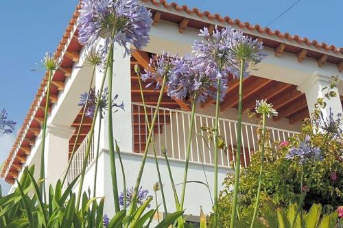 Cala Vadella Villa Sleeps 7 Pool Air Con Wifi
