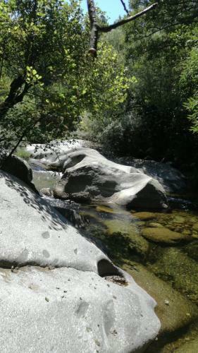 Agroturismo Casa Rural La Chopera Del R�o