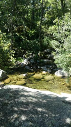 Agroturismo Casa Rural La Chopera Del R�o