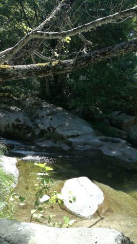 Agroturismo Casa Rural La Chopera Del R�o