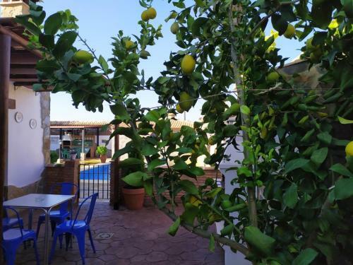 Agroturismo Alojamientos Rurales La Esperanza
