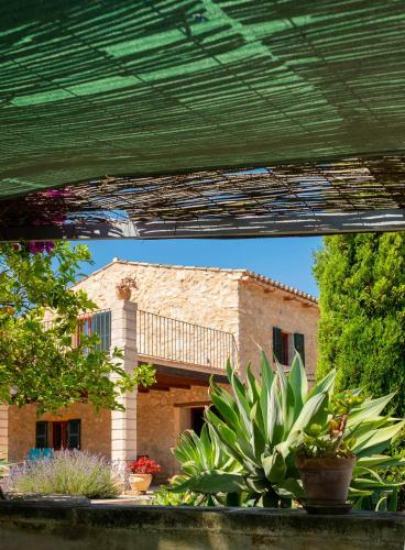 Finca Paradis Mhm