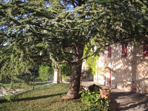 Agroturismo Banyalmar