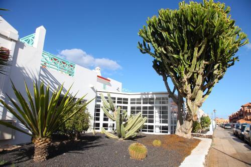 Apartamento Las Arenas Caleta De Fuste