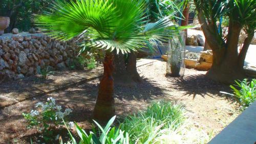 Finca Corda