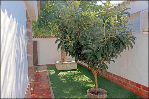 Bungalow La Roa II