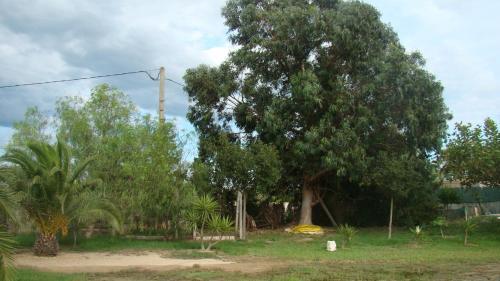 Masia Rural Can Ribes