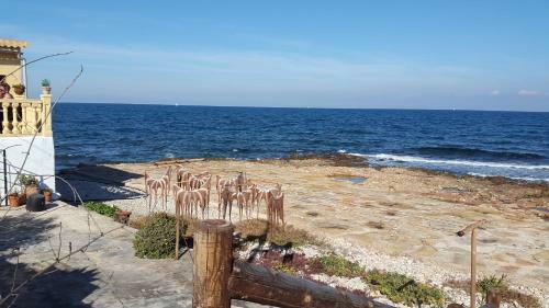 Apartamento Denia Blau