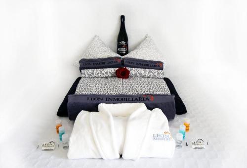 Apartamento Leon Inmo Violetta 1 C
