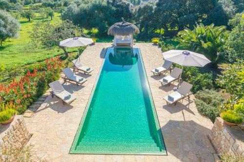 Villa Son Punta